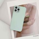For iPhone 11 Pro Max Skin Frosted Tempered Glass Phone Case(Light Green) - 1