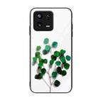 For Xiaomi 13 Colorful Painted Glass Phone Case(Sapling) - 1