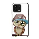 For Xiaomi 13 Pro Colorful Painted Glass Phone Case(Owl) - 1