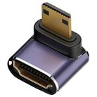C8K-05 8K HDMI 2.1 to Mini Adapter - 1