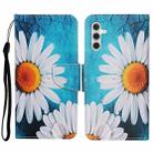 For Samsung Galaxy A54 Colored Drawing Pattern Leather Phone Case(Chrysanthemum) - 1