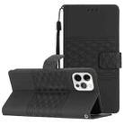 For iPhone 12 Pro Diamond Embossed Skin Feel Leather Phone Case with Lanyard(Black) - 1