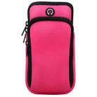 For Smart Phones Below 6.0 inch Zipper Double Pocket Multi Function Sports Arm Bag with Earphone Hole(Pink) - 1