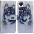 For OPPO A58 Coloured Drawing Flip Leather Phone Case(White Wolf) - 1