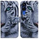 For Tecno Pova 4 Pro Coloured Drawing Flip Leather Phone Case(Tiger) - 1