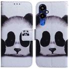 For Tecno Pova 4 Pro Coloured Drawing Flip Leather Phone Case(Panda) - 1