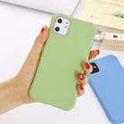 For iPhone 11 Solid Color TPU Slim Shockproof Protective Case(Green) - 1