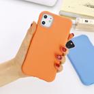 For iPhone 11 Solid Color TPU Slim Shockproof Protective Case(Orange) - 1