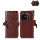 For OnePlus 11 5G Ostrich Pattern Genuine Leather RFID Phone Case(Coffee) - 1