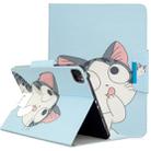 For iPad Pro 11 (2020) Colored Drawing Horizontal Flip PU Leather Tablet Case with Holder & Card Slots(Cat) - 1