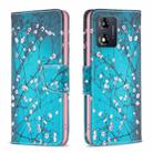 For Motorola Moto E13 4G Colored Drawing Pattern Leather Phone Case(Plum Blossom) - 1