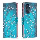 For Motorola Moto G 5G 2023 Colored Drawing Pattern Leather Phone Case(Plum Blossom) - 1