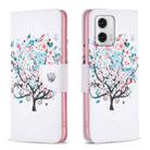 For Motorola Moto G73 5G Colored Drawing Pattern Leather Phone Case(Tree) - 1