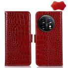 For OnePlus 11 5G Crocodile Top Layer Cowhide RFID Leather Phone Case(Red) - 1