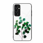 For Samsung Galaxy A34 5G Colorful Painted Glass Phone Case(Sapling) - 1