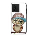 For vivo iQOO Neo7 Colorful Painted Glass Phone Case(Owl) - 1