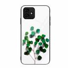 For Honor Play6C Colorful Painted Glass Phone Case(Sapling) - 1