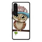 For Samsung Galaxy S23 5G Colorful Painted Glass Phone Case(Owl) - 1