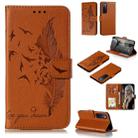 For Huawei Nova 7 Litchi Texture Feather Embossing Pattern Horizontal Flip Leather Case with Holder & Card Slots & Wallet & Photo Frame & Lanyard(Brown) - 1