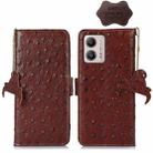 For Motorola Moto G73 5G Ostrich Pattern Genuine Leather RFID Phone Case(Coffee) - 1