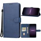 For Sony Xperia 1 V Leather Phone Case(Blue) - 1
