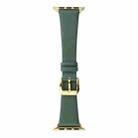 Silk Leather Watch Band For Apple Watch Ultra 49mm / Series 8&7 45mm / SE 2&6&SE&5&4 44mm / 3&2&1 42mm(Pine Green) - 1