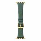Silk Leather Watch Band For Apple Watch Ultra 49mm&Watch Ultra 2 49mm / Series 9&8&7 45mm / SE 3&SE 2&6&SE&5&4 44mm / 3&2&1 42mm(Pine Green) - 1