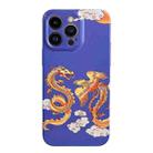For iPhone 14 Pro Max Film Craft Hard PC Phone Case(Dragon and Phoenix) - 1