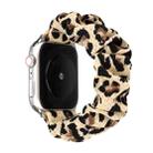 For Apple Watch Series 9&8&7 41mm / SE 3&SE 2&6&SE&5&4 40mm / 3&2&1 38mm Cloth + Stainless Steel Hair Ring Watch Band(Leopard Print) - 1