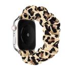 For Apple Watch Ultra 49mm / Series 8&7 45mm / SE 2&6&SE&5&4 44mm / 3&2&1 42mm Cloth + Stainless Steel Hair Ring Watch Band(Leopard Print) - 1