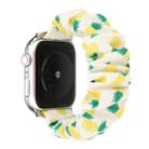 For Apple Watch Series 7 45mm / 6 & SE & 5 & 4 44mm / 3 & 2 & 1 42mm Cloth + Stainless Steel Hair Ring Watch Band(Pineapple) - 1