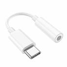 hoco LS35 USB-C/Type-C to 3.5mm Adapter Digital Decoder Audio Cable(White) - 1