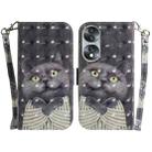 For Honor 70 3D Colored Horizontal Flip Leather Phone Case(Hug Cat) - 1