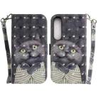 For Sony Xperia 1 IV 2023 3D Colored Horizontal Flip Leather Phone Case(Hug Cat) - 1
