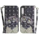 For Sony Xperia 10 IV 2023 3D Colored Horizontal Flip Leather Phone Case(Hug Cat) - 1