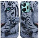 For Infinix Zero 20 / X6821 Coloured Drawing Flip Leather Phone Case(Tiger) - 1