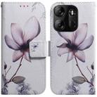 For Tecno Spark Go 2023 / Pop 7 Pro Coloured Drawing Flip Leather Phone Case(Magnolia) - 1