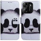 For Tecno Spark Go 2023 / Pop 7 Pro Coloured Drawing Flip Leather Phone Case(Panda) - 1