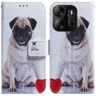 For Tecno Spark Go 2023 / Pop 7 Pro Coloured Drawing Flip Leather Phone Case(Pug) - 1