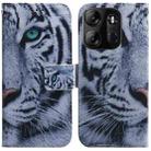 For Tecno Spark Go 2023 / Pop 7 Pro Coloured Drawing Flip Leather Phone Case(Tiger) - 1