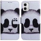 For Motorola Moto G73 Coloured Drawing Flip Leather Phone Case(Panda) - 1