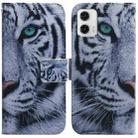 For Motorola Moto G73 Coloured Drawing Flip Leather Phone Case(Tiger) - 1