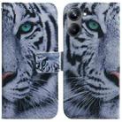For Realme 10 Pro 5G Coloured Drawing Flip Leather Phone Case(Tiger) - 1