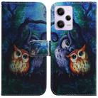 For Xiaomi Redmi Note 12 Pro 5G Coloured Drawing Flip Leather Phone Case(Oil Painting Owl) - 1