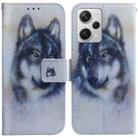 For Xiaomi Redmi Note 12 Pro+ Coloured Drawing Flip Leather Phone Case(White Wolf) - 1