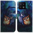 For Xiaomi 13 5G Coloured Drawing Flip Leather Phone Case(Oil Painting Owl) - 1
