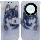 For Honor X9a Coloured Drawing Flip Leather Phone Case(White Wolf) - 1