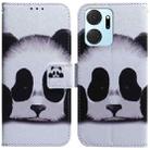 For Honor X7A Coloured Drawing Flip Leather Phone Case(Panda) - 1