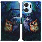 For Honor X7A Coloured Drawing Flip Leather Phone Case(Oil Painting Owl) - 1