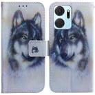 For Honor X7A Coloured Drawing Flip Leather Phone Case(White Wolf) - 1